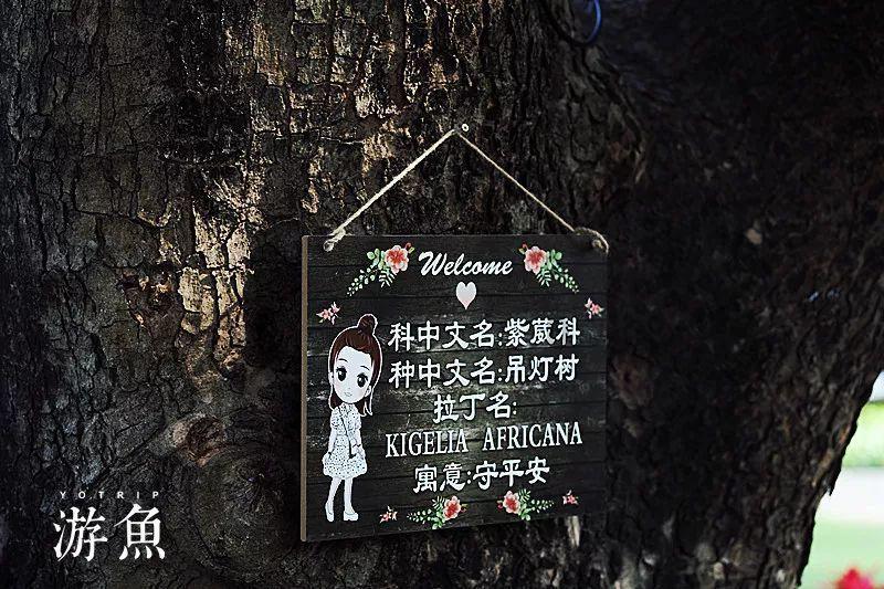 会玩游戏的人聪明吗？